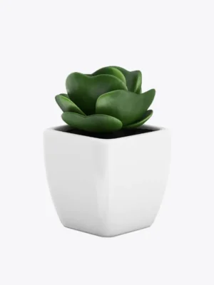 Badia Rosemary 1oz